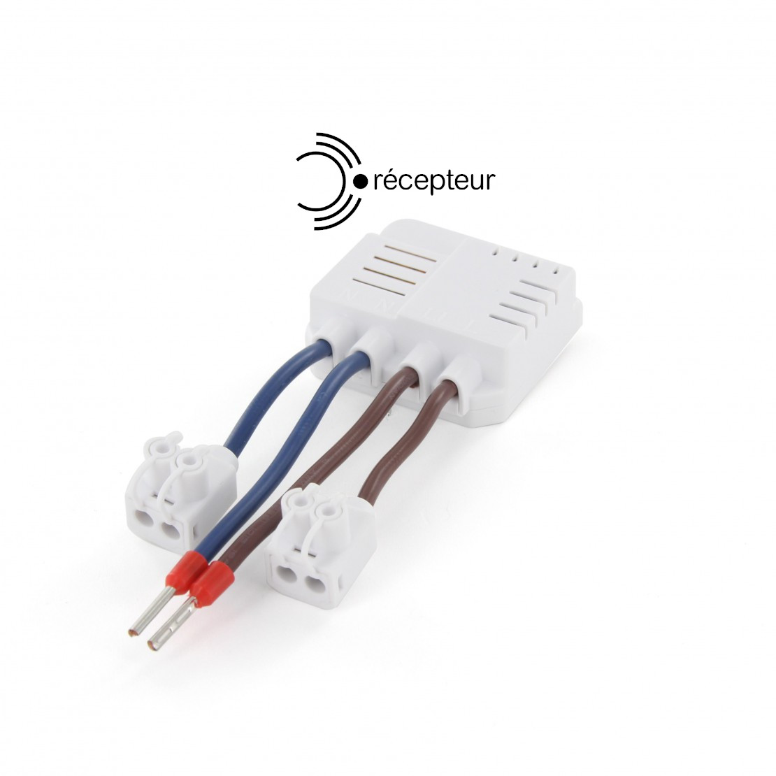 Module encastrable pour prise électrique