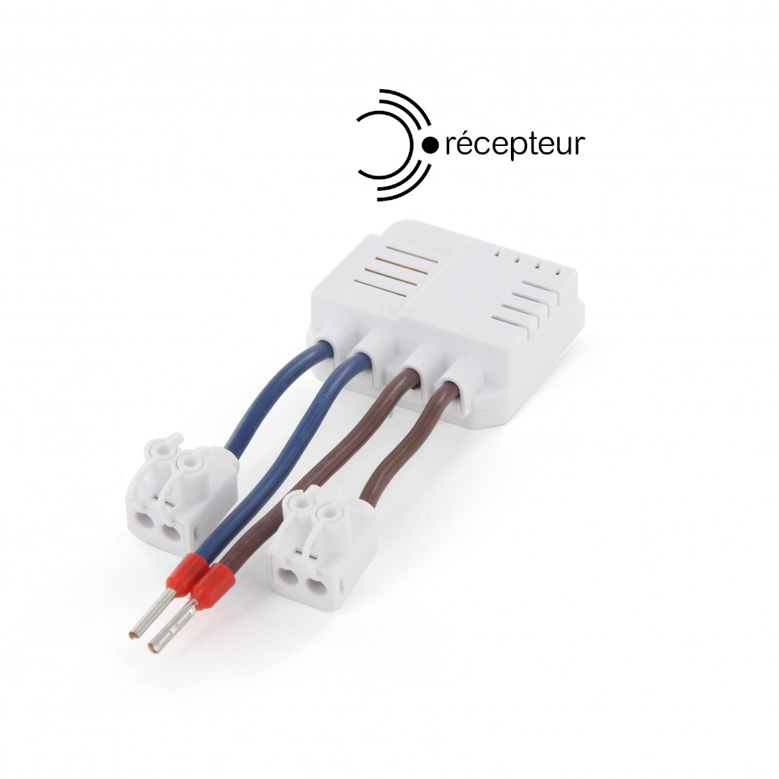 Module encastrable pour prise électrique