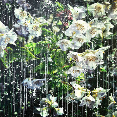   Jasmine Flowers 04 by An Doan Nguyen