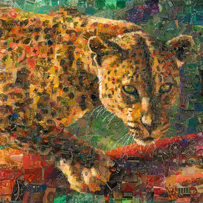   Leopard by Charis Tsevis