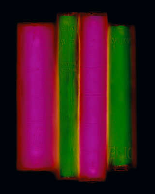Still Life Art  Archive (green/pink) by Penelope Davis