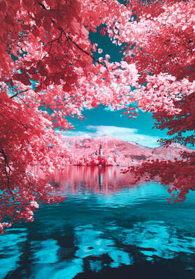  Abstract Landscape Art: Lake Bled by Paolo Pettigiani