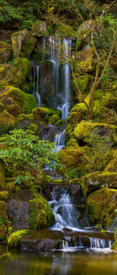  curated nature prints: Heavenly Falls by Roman Johnston