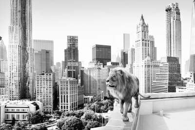 architecture photography:  Lion by Tom Nagy