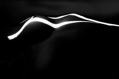  Erotic Photo Art: A Play of Light and Shadow: Nude by Alexander Straulino | Trunk Archive